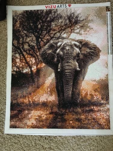 Customer photo review of African Elephant