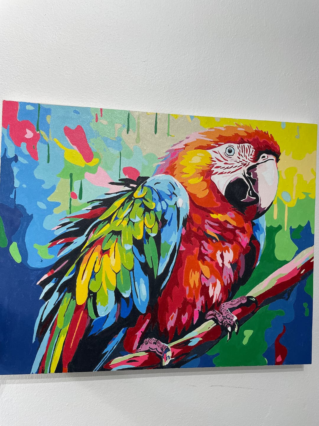 Customer photo review of Scarlet Macaw