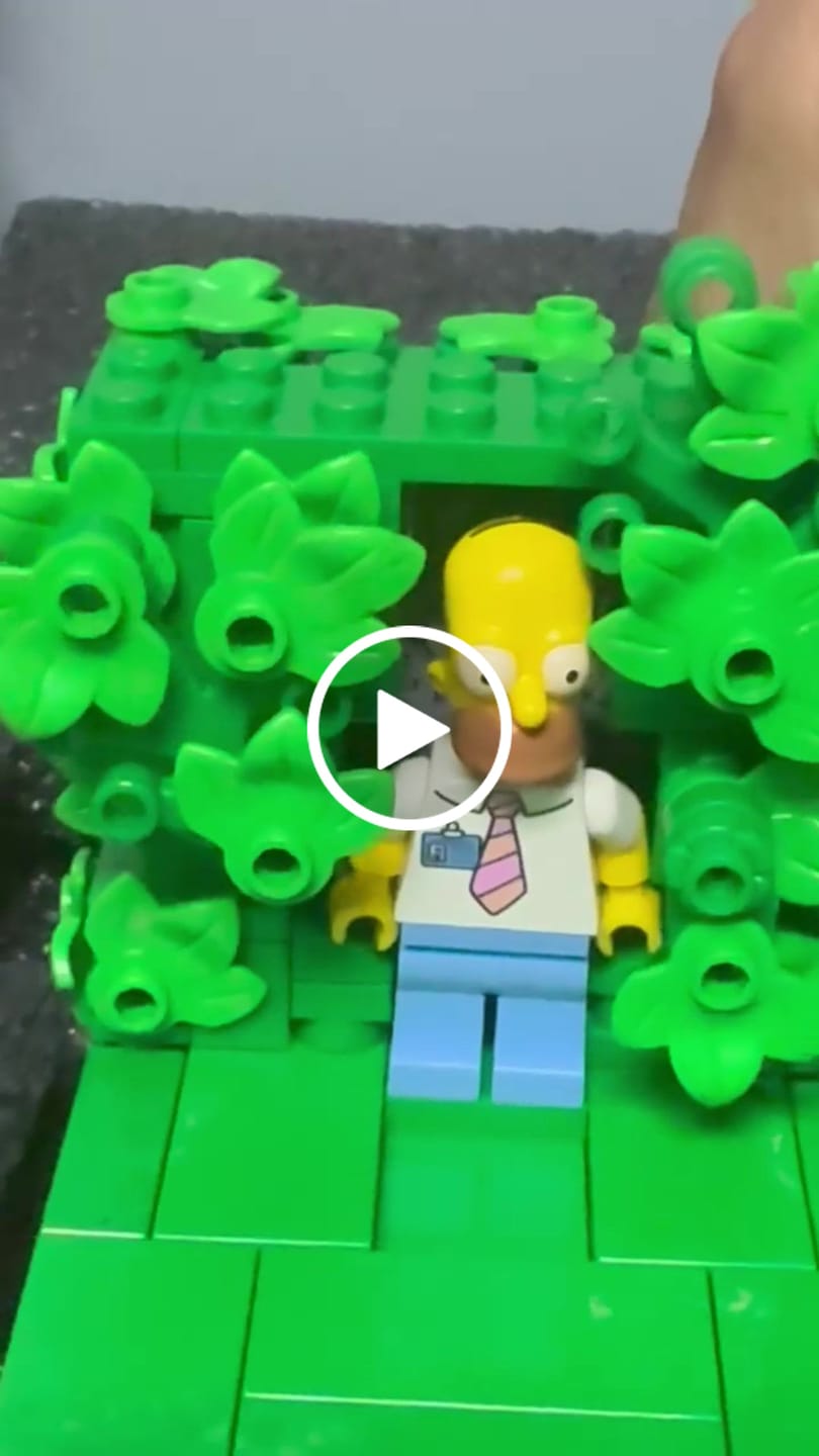 Customer video review of Homer Vanishing Into the Bushes