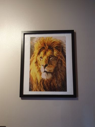 Customer photo review of King of the Jungle
