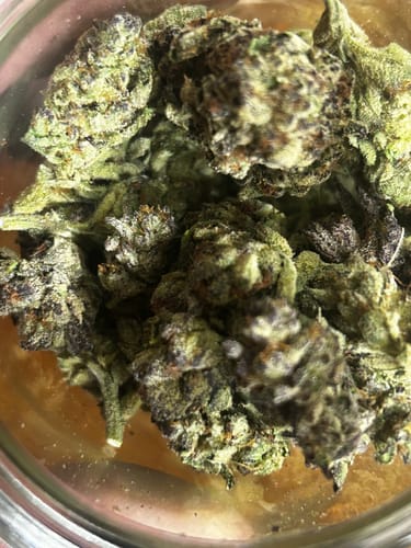 Customer photo review of Blueberry Muffin THCA Flower