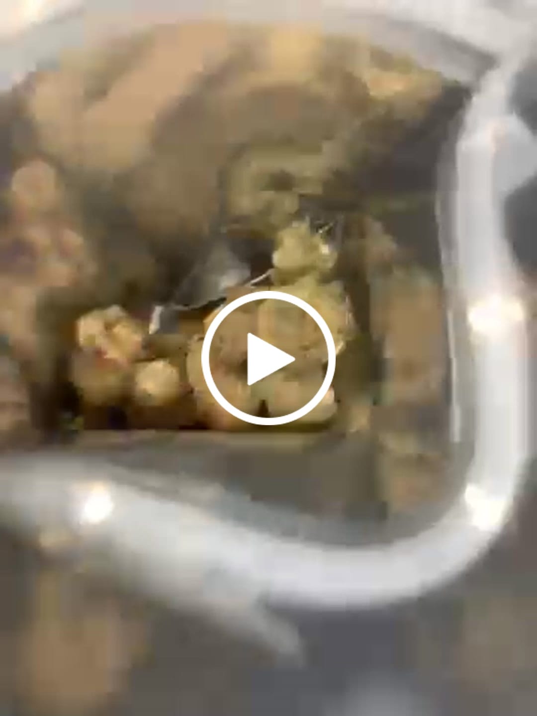 Customer video review of FREE SAMPLE (with code) THCa Flower