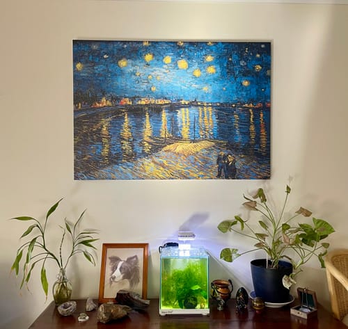 Customer photo review of VAN GOGH EDITION  CANVAS