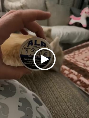 Customer video review of Chilled Mint Nicotine Pouches