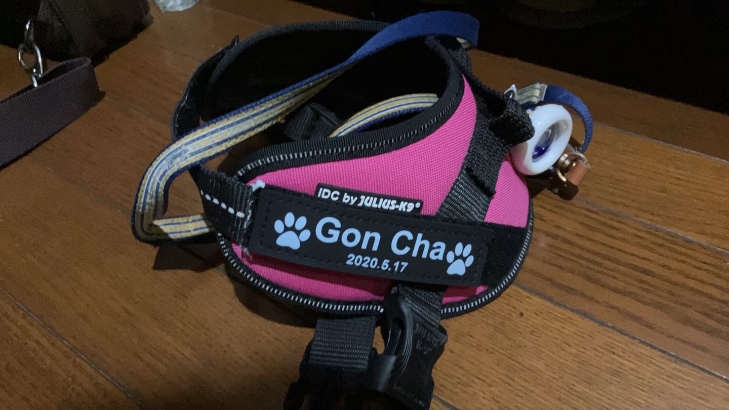 Customer photo review of ハーネス専用お名前タグ（２枚セット・マジックテープ式）