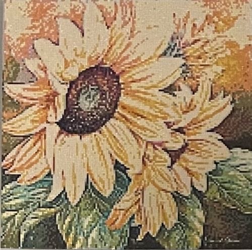 Customer photo review of Custom Diamond Painting Kit