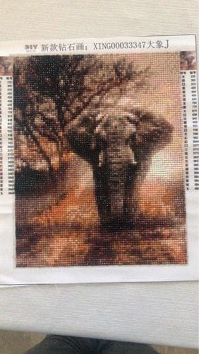 Customer photo review of African Elephant