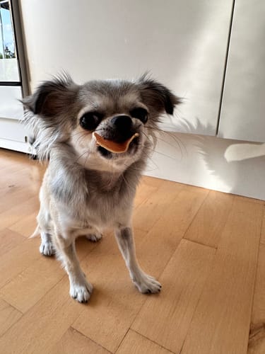 Customer photo review of Companion -  Sandwich Slices m. Lam, 80g