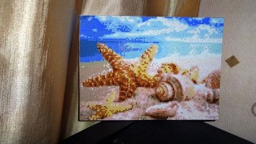 Customer photo review of Shells And Starfish