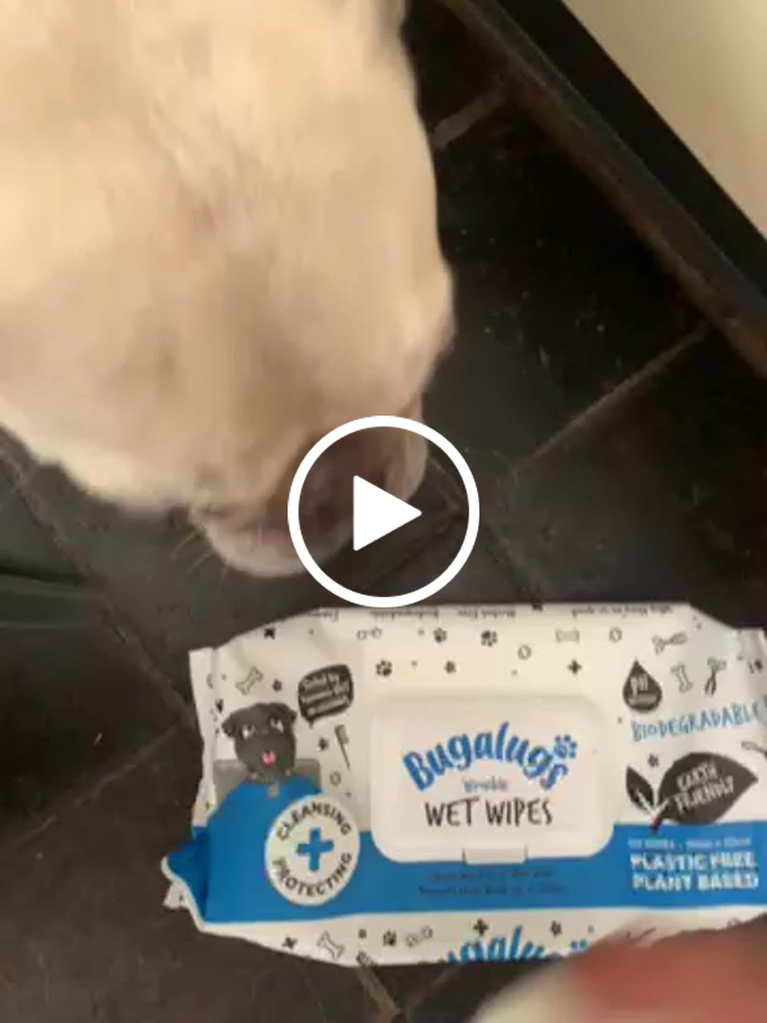 Customer video review of Wrinkle Wet Wipes for Dogs & Cats