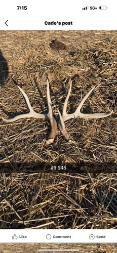 Customer photo review of AquaWade Pro Insulated Duck Waterfowl Hunting Chest Waders