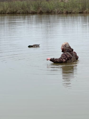 Customer photo review of AquaWade Pro Insulated Duck Waterfowl Hunting Chest Waders