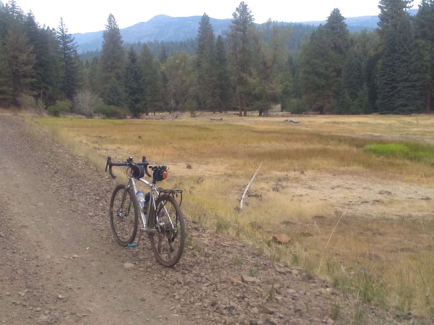 Customer photo review of Bulk KMC X10.93 Chain (by foot)