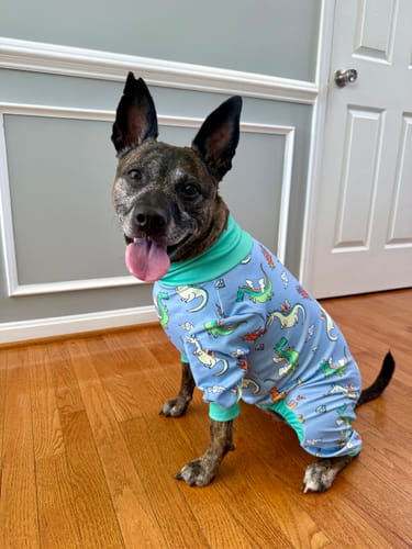 Customer photo review of Dog Pajama - Dragons