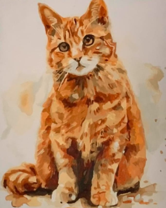 Customer photo review of Custom DIY Modern Pet Portrait – Paint by Numbers Kit