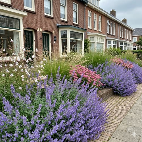 Customer photo review of Lampenpoetsersgras - Pennisetum alopecuroides 'Hameln' TIP