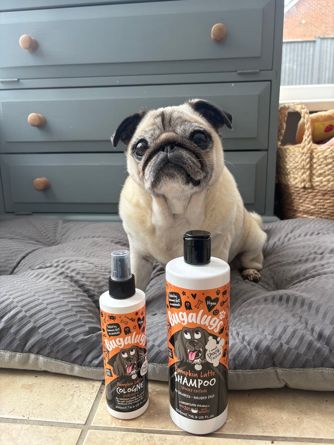 Customer photo review of Spooky Edition: Pumpkin Latte Bundle (Shampoo + Cologne)