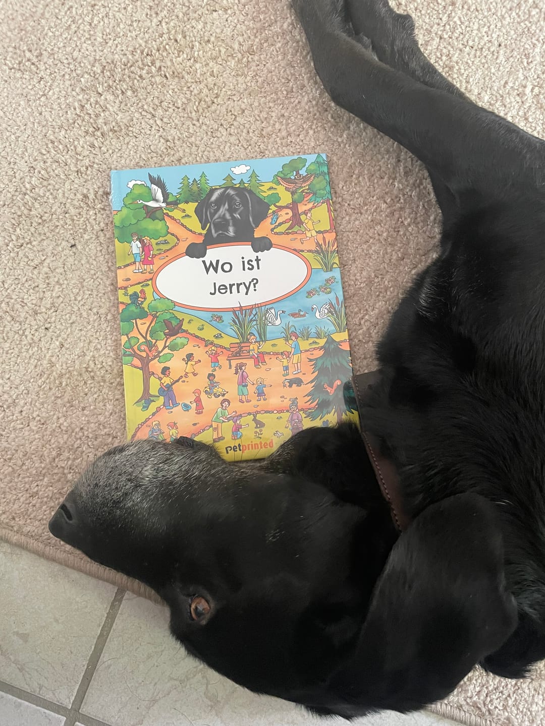 Customer photo review of Wo bist du? - Personalisiertes Hunde-Wimmelbuch