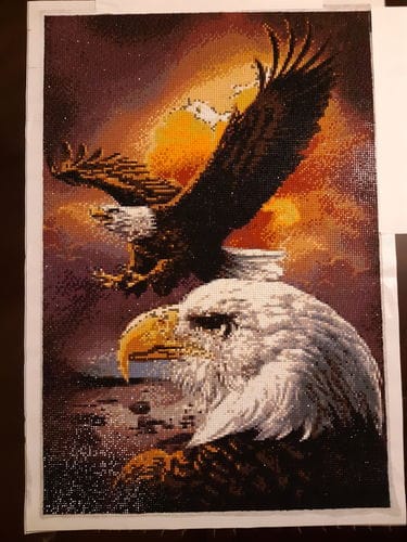 Customer photo review of American Eagle