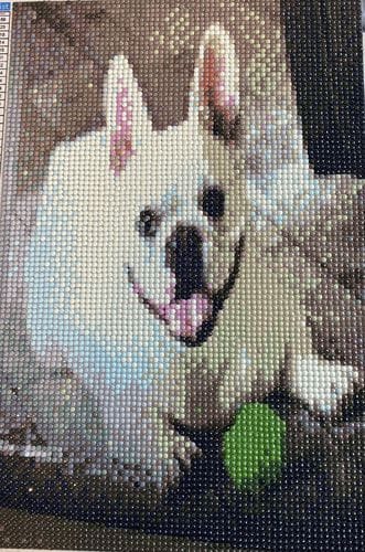 Customer photo review of Custom Diamond Painting Kit