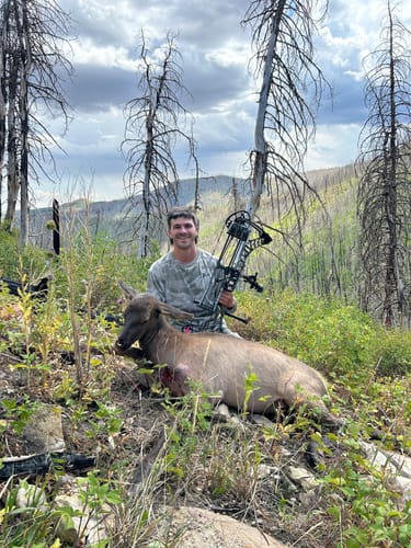 Customer photo review of Titanium Broadheads