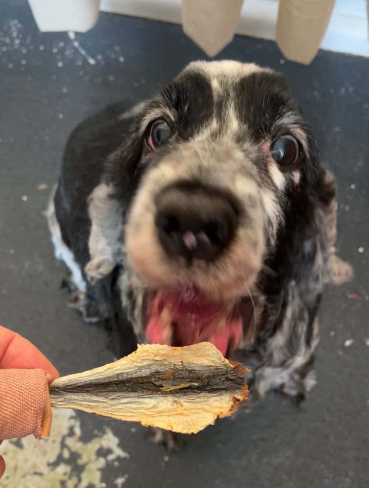 Customer photo review of Split Sardines