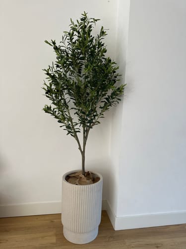 Customer photo review of Kunst Olijfboom 180cm