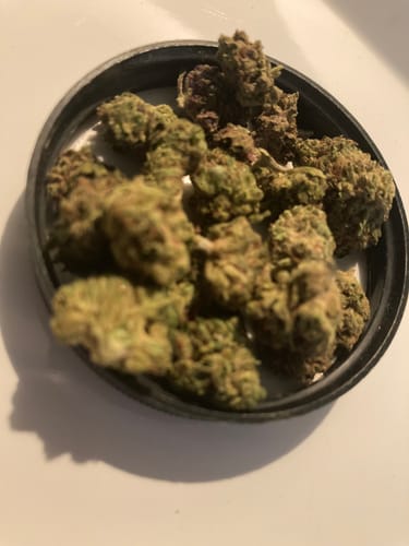 Customer photo review of Greenhouse Smalls