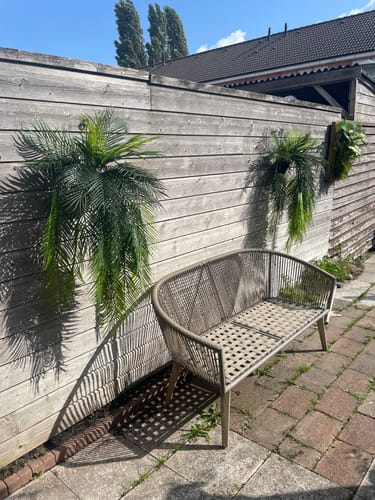 Customer photo review of Palm Kunst Hangplant 110cm