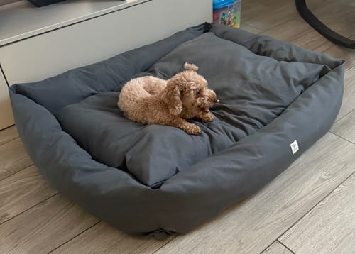 Customer photo review of Divanetto Cotone Siena Grigio Scuro