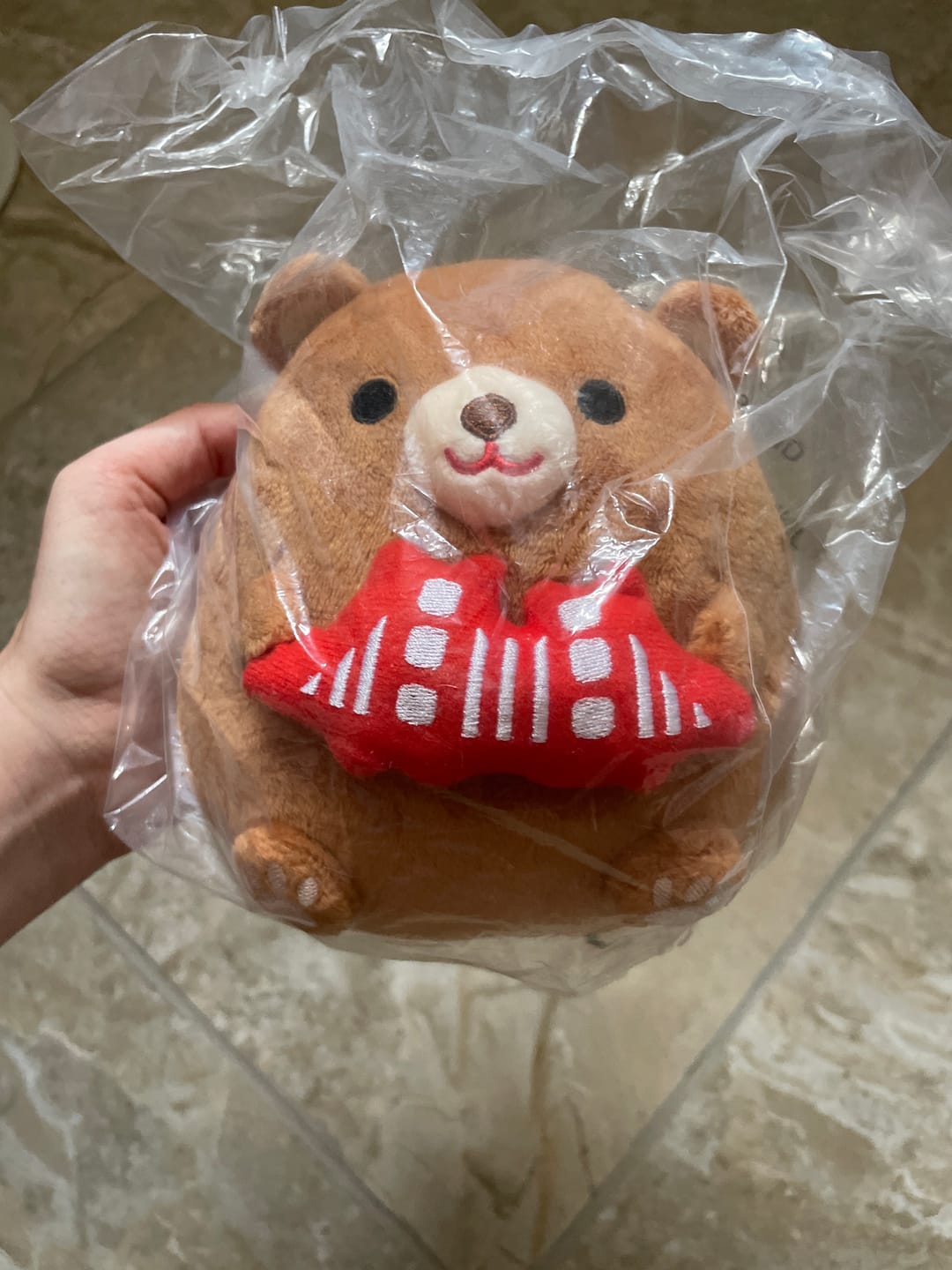 Customer photo review of Tomoko Maruyama - Hugging California Bear Plush Toy