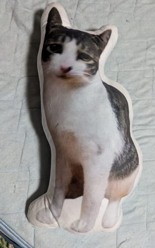 Customer photo review of 本物そっくり♪ペットクッション