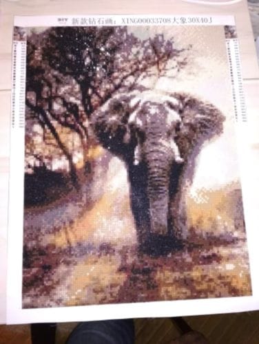 Customer photo review of African Elephant