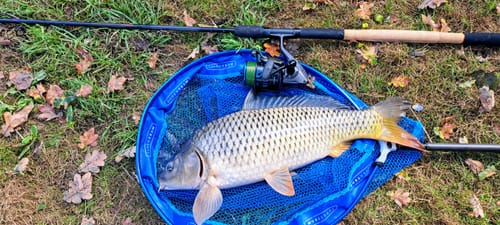 Customer photo review of INVICTUS REEL