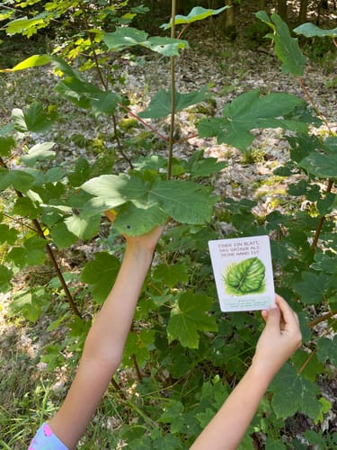 Customer photo review of Edubini Gefunden! Outdoor Suchspiel für Kinder