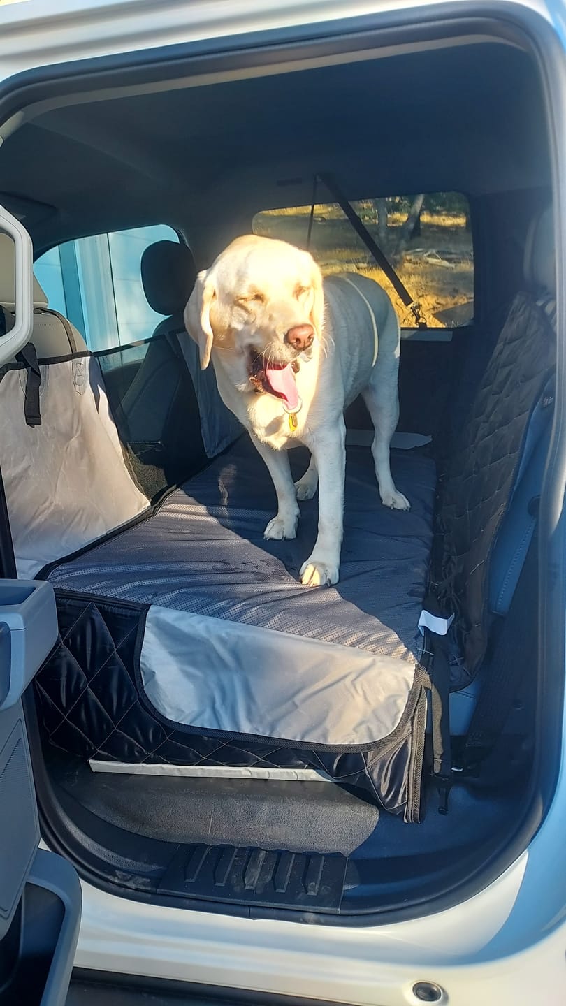 Customer photo review of 4Knines Hard Bottom Extender Car Seat Cover for Dogs - XL