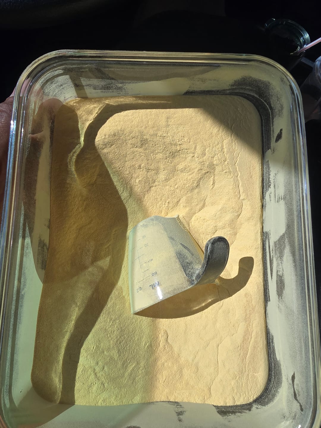 Customer photo review of Wild Pine Pollen - Certified Organic  Lodgepole- 1kg (2.2lb)