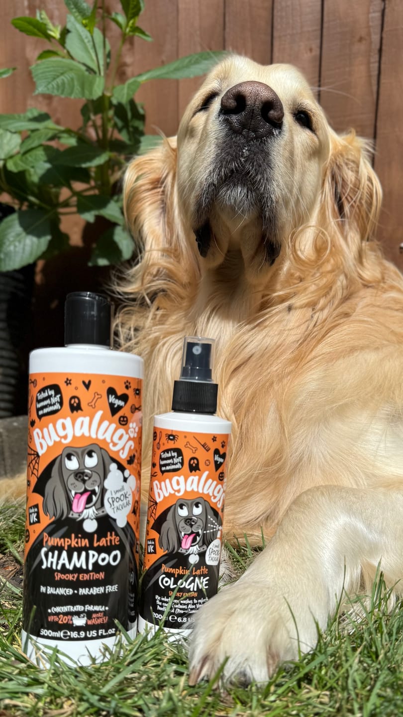 Customer photo review of Spooky Edition: Pumpkin Latte Bundle (Shampoo + Cologne)