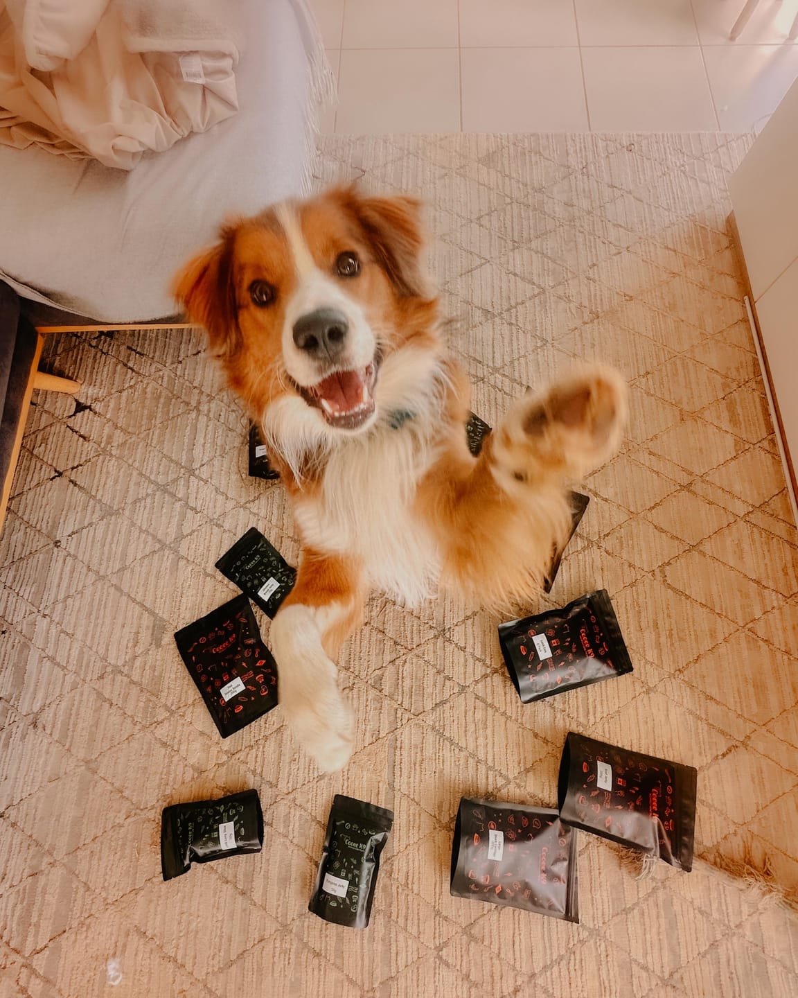 Customer photo review of 6 Protein Trial Pack