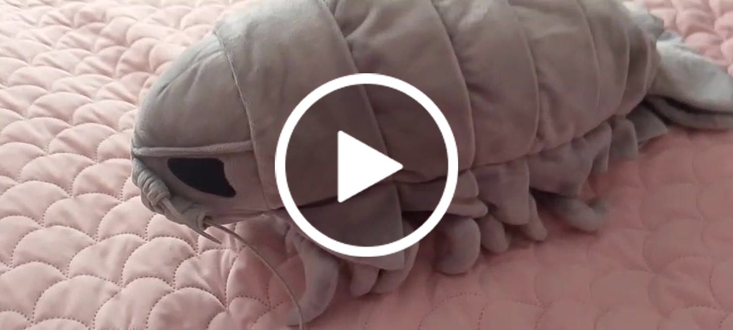 Customer video review of Giant Isopod Soft Stuffed Plush Toy