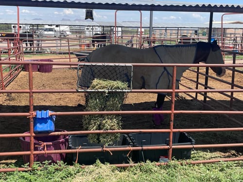 Customer photo review of 4 For $100 Deal