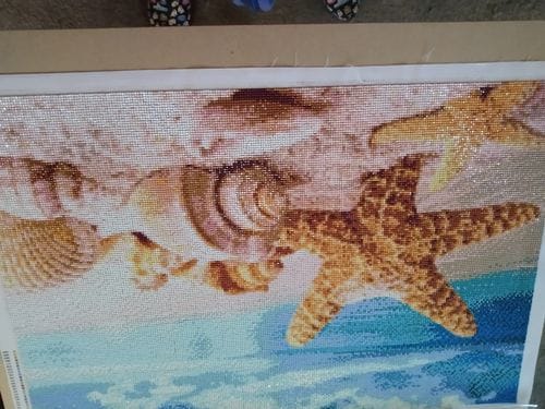 Customer photo review of Shells And Starfish