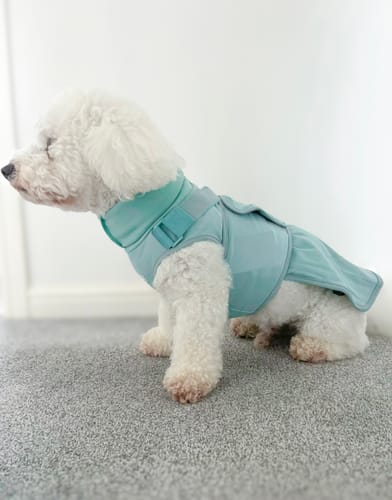 Customer photo review of Anxiety Calming Suit - Teal