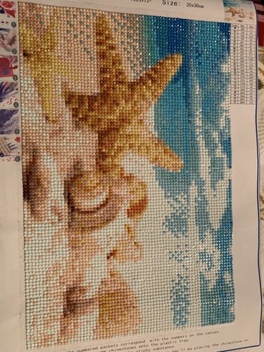 Customer photo review of Shells And Starfish