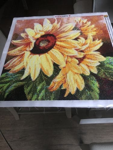 Customer photo review of Diamond Organizing Tray