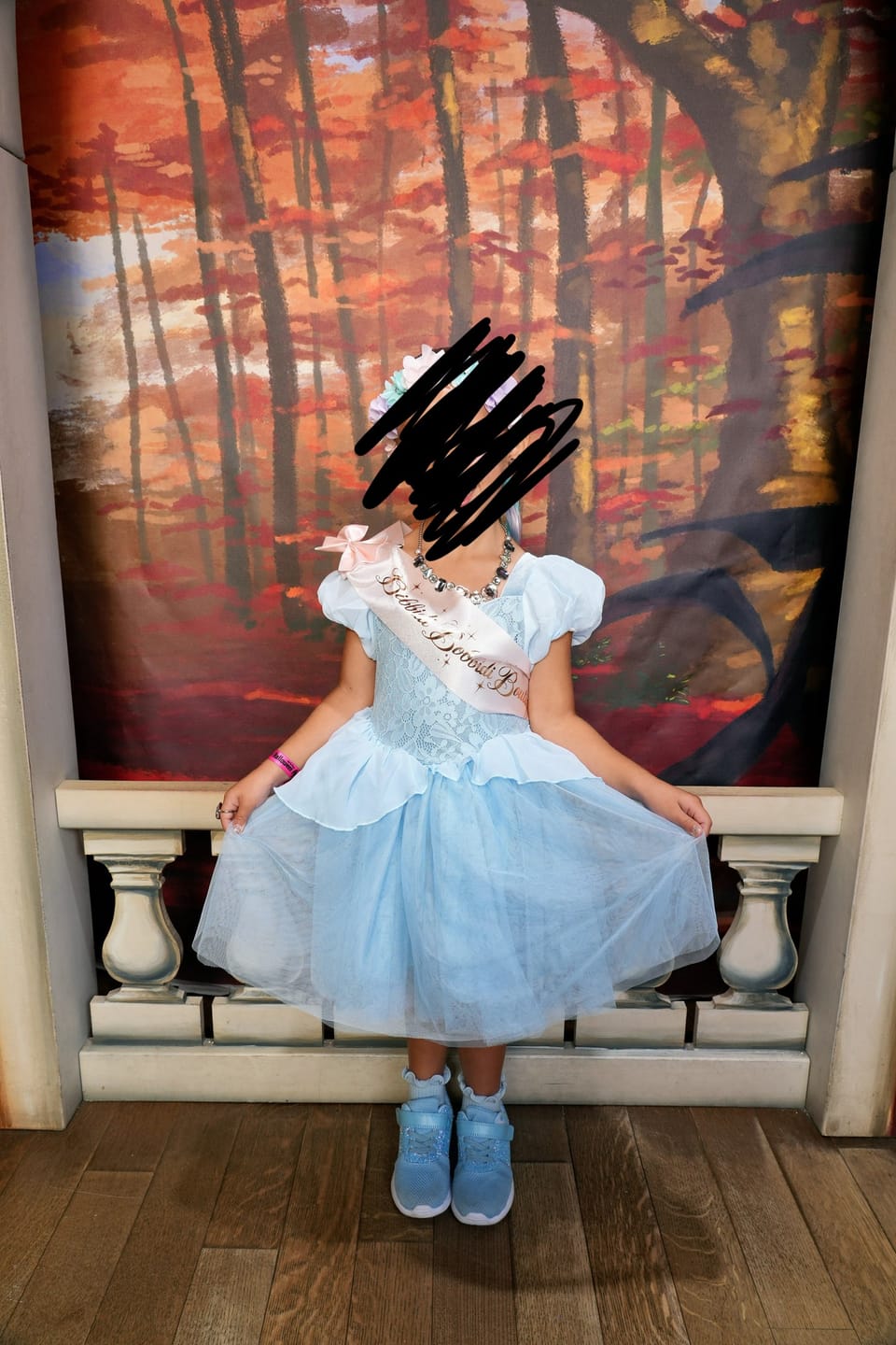 Customer photo review of Portrait Petites Cinderella Twirl Length Gown