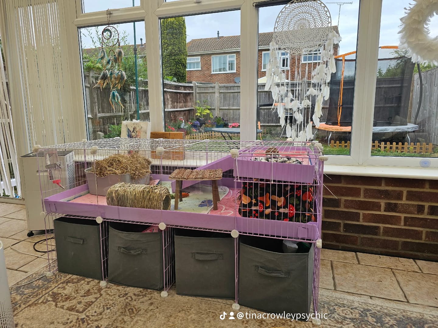 Customer photo review of 4x2 C&C Cage with Loft & Stand