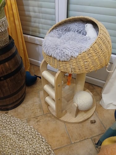 Customer photo review of Arbre à chat - Tour Champignon
