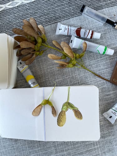 Customer photo review of Tobio's™ Watercolor Kit