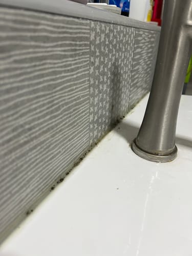 Customer photo review of Mold Remover Gel (1 pcs) | Remove mold and mildew
